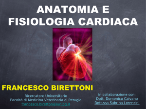 anatomia e fisiologia cardiaca - Ordine Dei Medici Veterinari Della