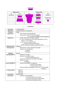 VIROLOGIA Envelope VIRUS A DNA VIRUS A