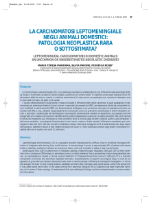 la carcinomatosi leptomeningiale negli animali