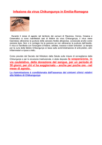 Infezione da virus Chikungunya in Emilia-Romagna