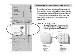 Biologia