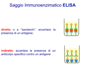 Saggio Immunoenzimatico ELISA - BTBS
