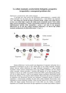 Le cellule staminali, caratteristiche biologiche