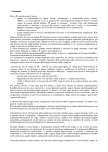 1. Il neurone Il cervello ha più compiti, tra cui: – tradurre le