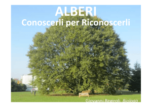 Alberi 1a