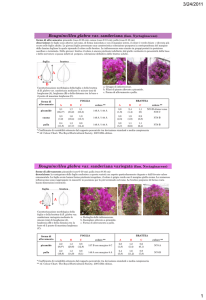 Diapositiva 1 - Cra-Rps