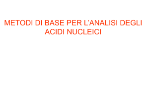 metodi di base per l`analisi degli acidi nucleici