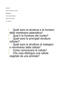 Lezione 3 Dentro la cellula eucariote Classi