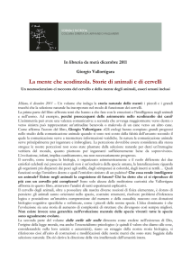 Scarica il pdf - Mondadori Education