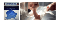 Emorragie e ischemie cerebrali neonatali - San Camillo
