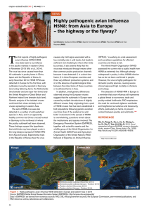 Highly pathogenic avian influenza H5N8: from Asia to Europe – the