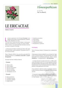Homoeopathicum - Le Ericaceae