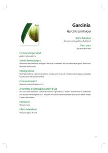 Garcinia - Piante medicinali