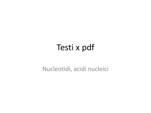 Alcuni dei trasparenti fatti vedere lezione su nucleotidi e acidi nucleici.