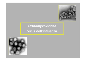 Virus dell`influenza