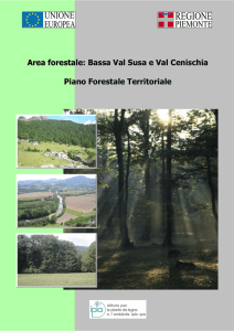 Area forestale: Bassa Val Susa e Val Cenischia