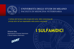 Diapositiva 1 - Gruppo Veterinario Suinicolo Mantovano