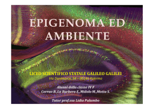 Epigenoma ed ambiente - Liceo Galilei