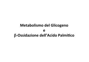 LEZ 09.1 Metabolismo del Glicogeno - Progetto e