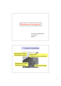 Membrane biologiche - Apollo 11 *DNA* Apollo