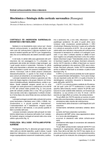 Biochimica e fisiologia della corticale surrenalica (Rassegna)