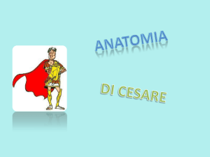 presentazione- anatomia di Cesare