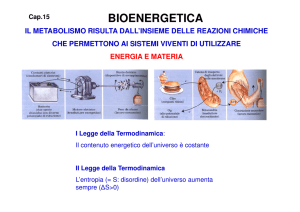 9. Bioenergetica [modalità compatibilità]