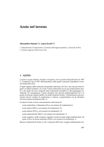 7-Azoto nel terreno - Archivio della ricerca della Scuola Superiore