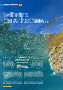 turismo subacqueo - Francesco Pacienza