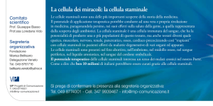 la cellula staminale