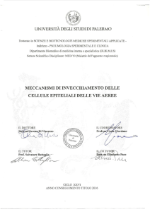 Tesi dottorato Serena Di Vincenzo - XXVI ciclo 2016