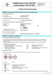 Acido Nitrico 65% 42 °Bè - Andrea Gallo di Luigi srl