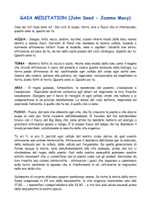 versione in pdf - Transition Italia