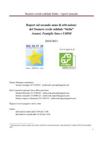 Report STELLA anno 2011