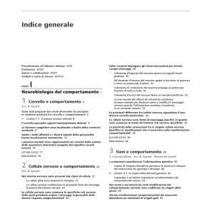 INDICE GENERALE
