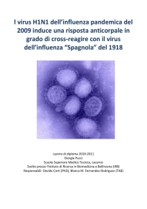 I virus H1N1 dell`influenza pandemica del 2009