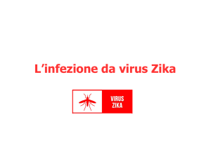 L`infezione da virus Zika