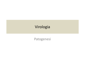 05-Patogenesi