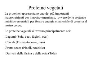 Proteine vegetali