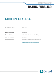 MICOPERI MICOPERI S.P.A.