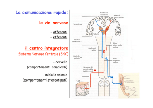 2. I canali ionici ed il potenziale di membrana File
