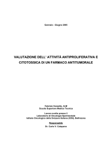 Lavoro di diploma di Fabrizio Vanzetta SSMT, 2005.
