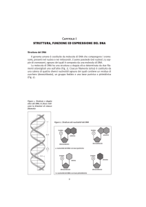 Capitolo I STRUTTURA, FUNZIONE ED ESPRESSIONE DEL DNA