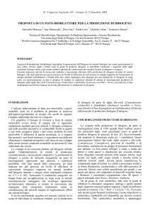 proposta di un foto-bioreattore per la produzione di idrogeno