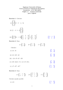 Esercizi Foglio n.1: Calcolo matriciale.