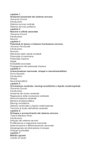 capitolo 1 Anatomia funzionale del sistema nervoso Giovanna