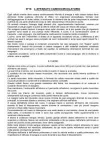 L`Apparato Cardiocircolatorio - Istituto Guglielmo Marconi di Prato