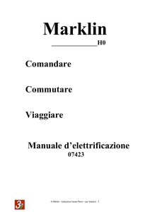 Manuale D`elettrificazione