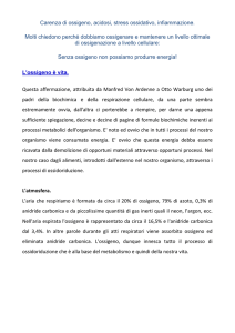 Modulazione fisiologica della carenza di ossigeno a livello cellulare