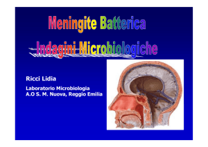 Indagini microbiologiche